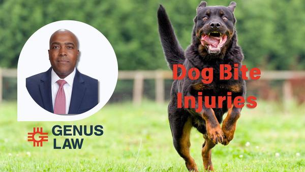 Dog Bites